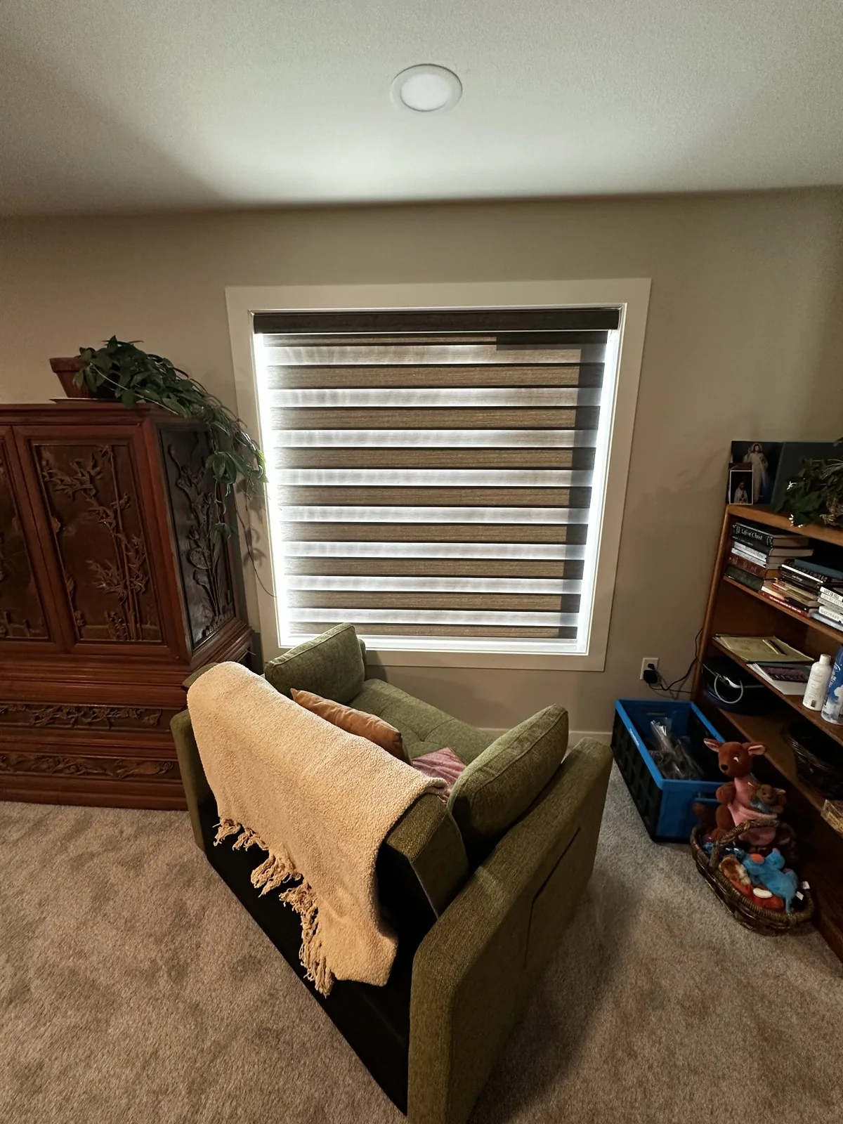 Brown zebra shade with alternating sheer bands behind a green armchair
